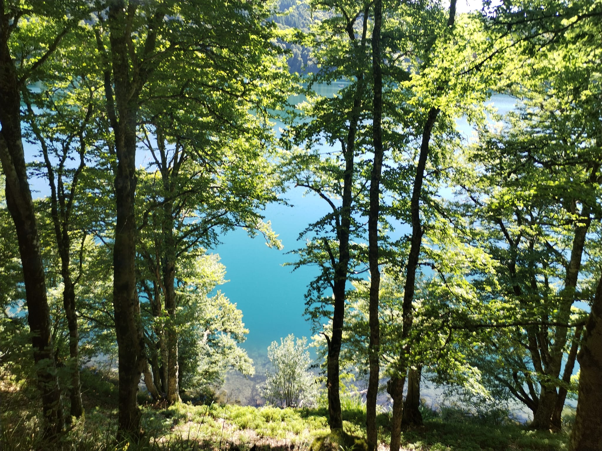 Auvergne